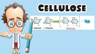 Cellulose