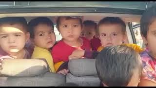25 детей в машине