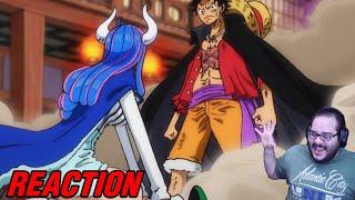 MARCO ARRIVES LUFFY VS ULTI INCOMING - ONE PIECE EPISODE 988 & 989 REACTION