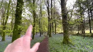 Bealtaine Meaning and Message