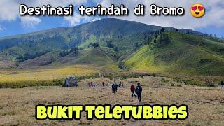 BUKIT TELETUBBIES & PASIR BERBISIK BROMO - WISATA BROMO TERBARU 2022