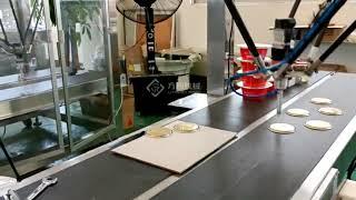 3 Axis Delta robot arm pick and place playing at the factory