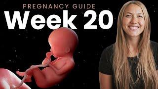 20 Weeks Pregnant  Week By Week Pregnancy