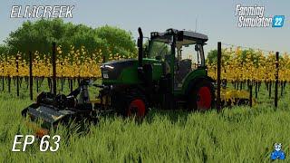 UREJANJE VINOGRADA Z MULČERJEM  Farming Simulator 22 - Elmcreek  Epizoda 63