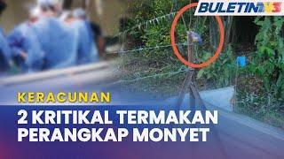 KERACUNAN  Dua Beradik Kritikal Makan Makanan Ringan Ada Racun Tikus