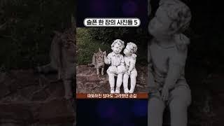 슬픈 한 장의 사진들 #5