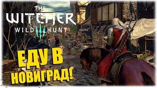 ЕДУ В НОВИГРАД - The Witcher 3 Wild Hunt - Вечерний стрим