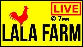 LaLas Wednesday Night Live