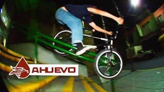 ANIMAL BIKES - AHUEVO