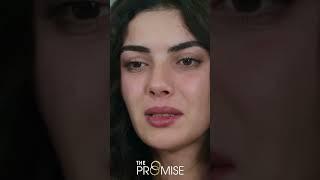 تلعب جافيدان على غولبيري #promise #reymir #shorts