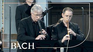 Bach - Cantata Gottes Zeit... Actus Tragicus BWV 106 - Van Veldhoven  Netherlands Bach Society