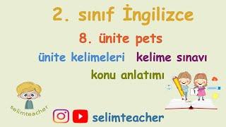 2. Sınıf İngilizce 8. Ünite Pets - Kelimeler Kelime Testi ve Konu Anlatımı