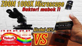 ZOOM 1000X  BLACK LABEL VS YAKULT BAKTERI AUTO MABOK 