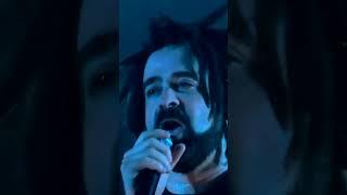 And I deserve a little more… #countingcrows #rainking #livemusic #shorts