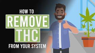 How to Remove THC From Your System