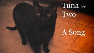 Tuna For Two - Song