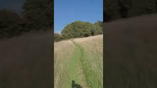 Explore Fulbeck Village Beautiful Walks Condensed into 1 Minute #EnglishCountryside