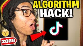 TikTok Algorithm Update 2020 How to Get Famous on TikTok - TikTok Algorithm Exploit Explained