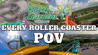 Every Roller Coaster at Busch Gardens Tampa POV 4K 2022