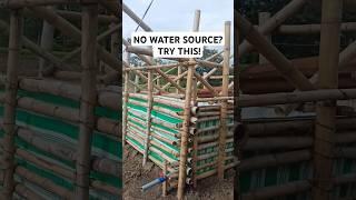 NO WATER SOURCE FOR FARMING? TRY THIS IMPROVISE RAIN HARVESTER. #agriculture #farming #gardening