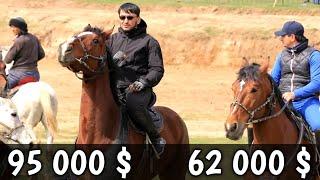 PARLAMENT VS CHEMPION. OTABEK UMAROV OTLARI.#HORSE#LOSHAD#OTLAR