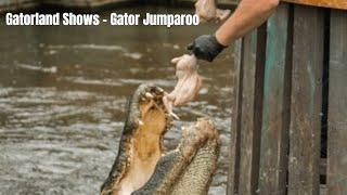 Gatorland Show - Gator Jumparoo - Part 2