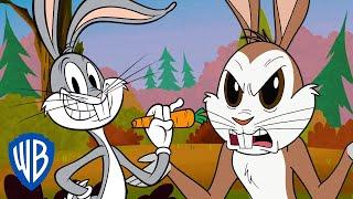 Looney Tunes  Is Bugs Bunny a Real Rabbit?  WB Kids