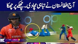 Netherland Vs Afghanistan cricket match Start  NED Vs AFG cricket match today  World Cup 2023