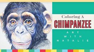 Coloring a Chimpanzee