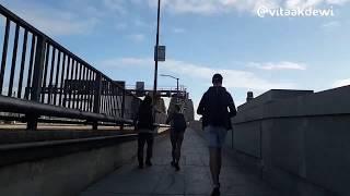 Circular Quay - Manly Scenic Walk