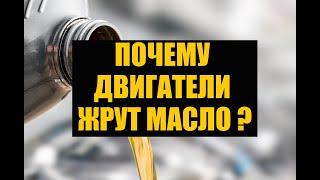 КАКИЕ ДВИГАТЕЛИ ЖРУТ МАСЛО? МАСЛОЖОР БЕНЗИНОВЫХ ДВИГАТЕЛЕЙ ПОЧЕМУ ДВИГАТЕЛЬ КУШАЕТ МАСЛО?