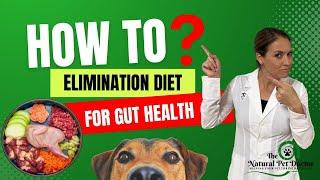 How To Do An Elimination Diet For Dogs & Cats To Improve Gut Health & Skin Allergies  Holistic Vet