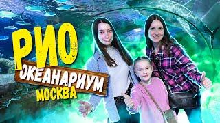 Океанариум РИО на Дмитровке - Билеты и цены  Обновленный Океанариум РИО удивил
