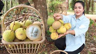 Pregnant mom pick Santol fruit - Yummy Santol fruit recipe - Cooking with Sreypov