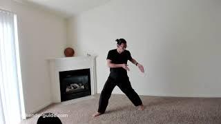 How to Learn Fumikomi - Kendo Guide for Beginners