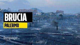 Incendi in Sicilia i vigili del fuoco Situazione più critica cè stata a Cefalù