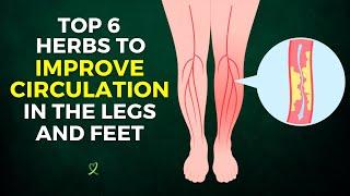 Top 6 Herbs To Improve Circulation In The Legs And Feet