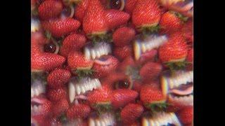 THEE OH SEES - FLOATING COFFIN 2013 FULL VINYL