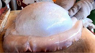 Amazing Cutting Live Big Cuttlefish Skills  - Taiwanese Seafood Market