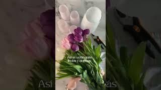 Tips Ramos de Tulipanes de Colores #yearofyou #tip #flores #arreglofloral #diadelasmadres