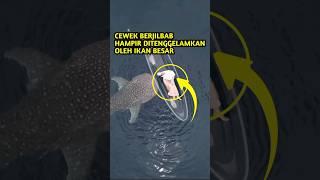 Cewek berjilbab Tercengang melihat ikan besar