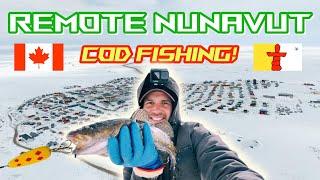 ICE FISHING in the Great White CANADIAN NORTH? #fishing #icefishing #codfishing