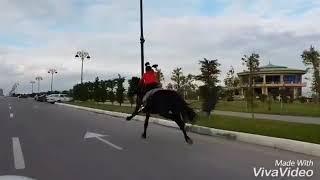 9 Yasli Gulay ferzeliyeva yene at belinde tehlukeli hereketleri ile