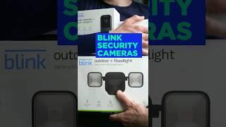 Are Blink Home Security Cameras worth it?