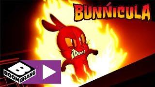 Bunnicula  Bunniculas Bad Brother  Boomerang UK 