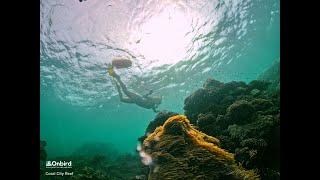 THE HEALTHIEST CORAL REEF IN PHU QUOC ISLAND VIETNAM  SOFT-ADVENTURE SNORKELING TRIP IN VIETNAM