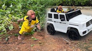 Bibi Farmer Runs Car To Harvest Peanuts In The Farm