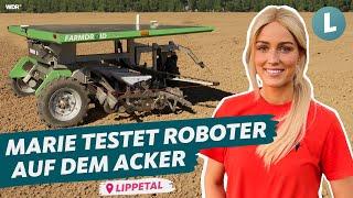 Farmdroid und Drohne Feldroboter sät Raps auf Maries Acker  WDR Lokalzeit Land.Schafft.