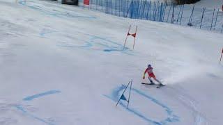 Ski Alpin Mens giant Slalom II Aspen 2.run Highlights 2024