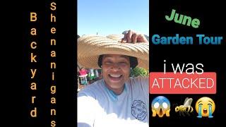 299  Backyard Shenanigans June Garden Tour SoCal Zone 10  July 2022